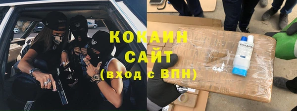 apvp Алзамай