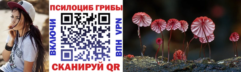 Псилоцибиновые грибы мухоморы продажа наркотиков Красноуральск